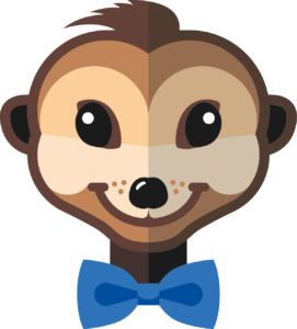tête suricate Mr Suricate