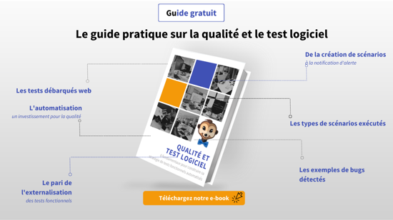 Quality and software testing guide