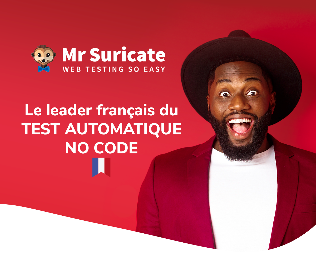 visuel-suricate agence mr suricate