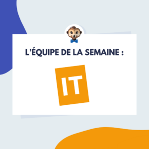 Equipe IT Mr Suricate