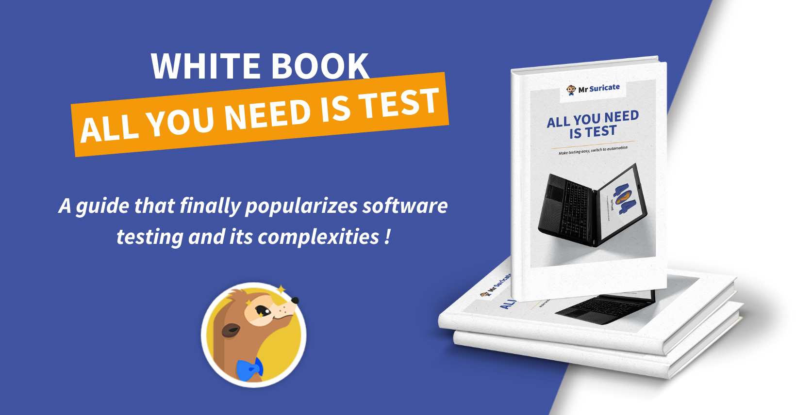 White paper 