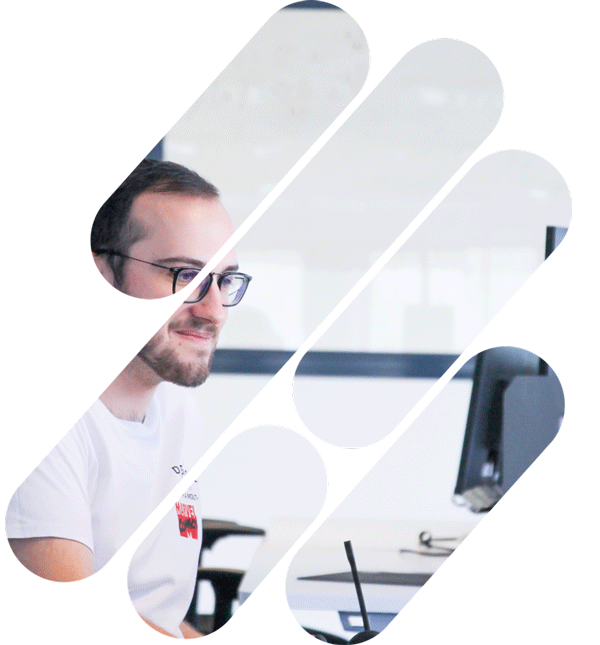 Design solution Mr Suricate