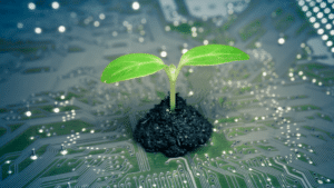Green IT dans le développement des logiciels – Ce qu’il faut savoir