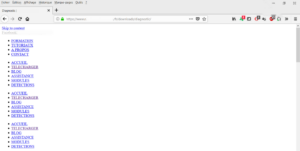 Problème d’affichage du site TOP 10 DES BUGS LES PLUS REMONTÉS AU 1ER SEMESTRE 2021