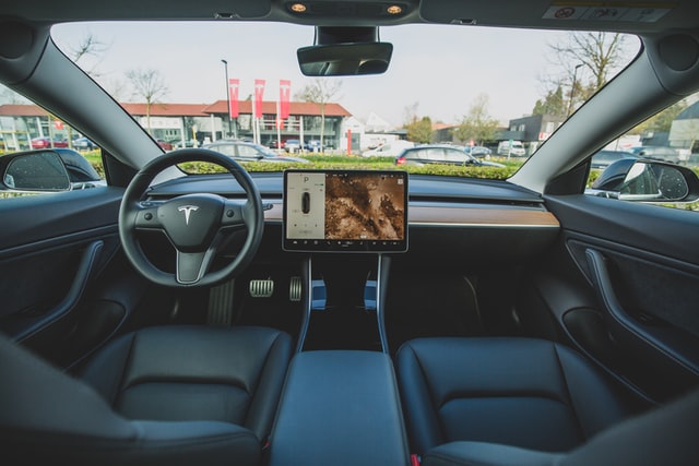 tesla bug 2021
