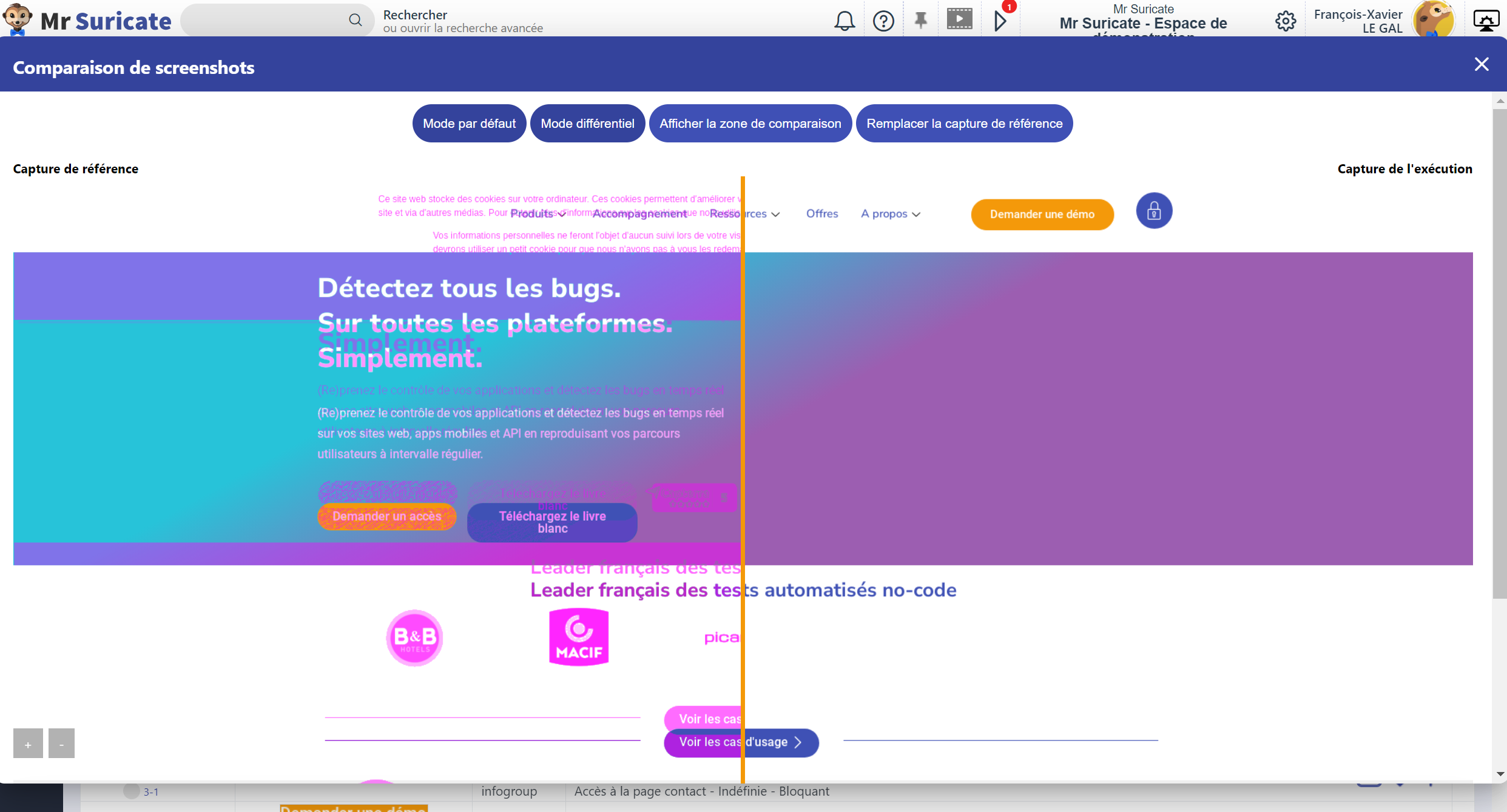bugs-graphiques-mr-suricate