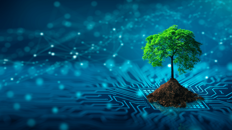 Green IT : Les meilleures solutions pour réduire l’empreinte écologique du numérique