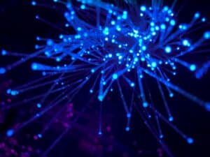 intelligence artificielle test L'IA ET LE COMPORTEMENT DES UTILISATEURS - INTERVIEW DE XAVIER BLANC