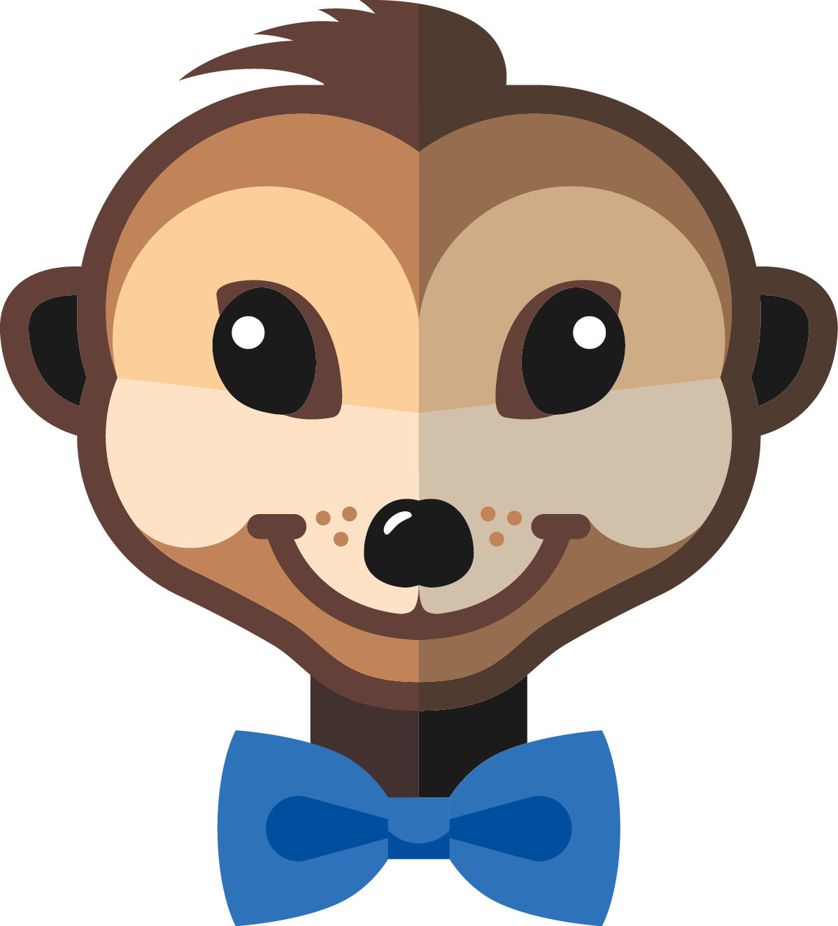 tête suricate